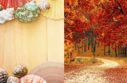 Saison été-automne